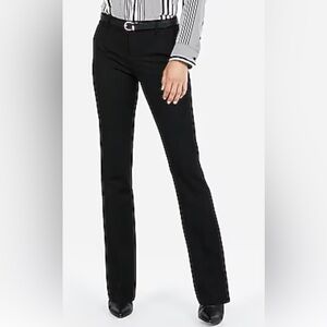 Express Columnist Women's Dress Pants